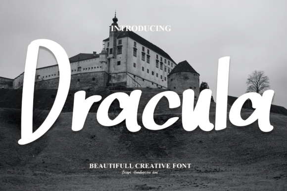 Dracula Font: A Practical Evaluation of Style, Versatility, and Application