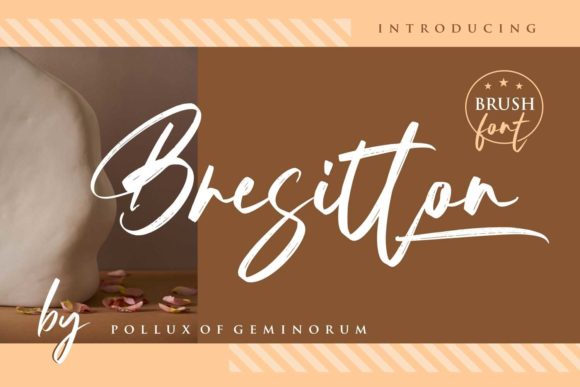 Elevating Brand Identity with the Sleek Elegance of Bresitton