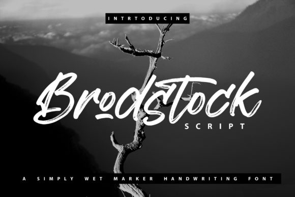 Evaluating Brodstock: A Practical Guide to Paint-Brushed Handwritten Typography