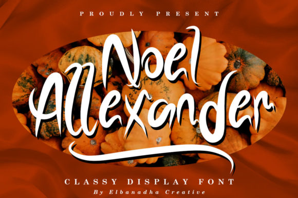 Noel Alexander: A Practical Evaluation of the Handwritten Typeface